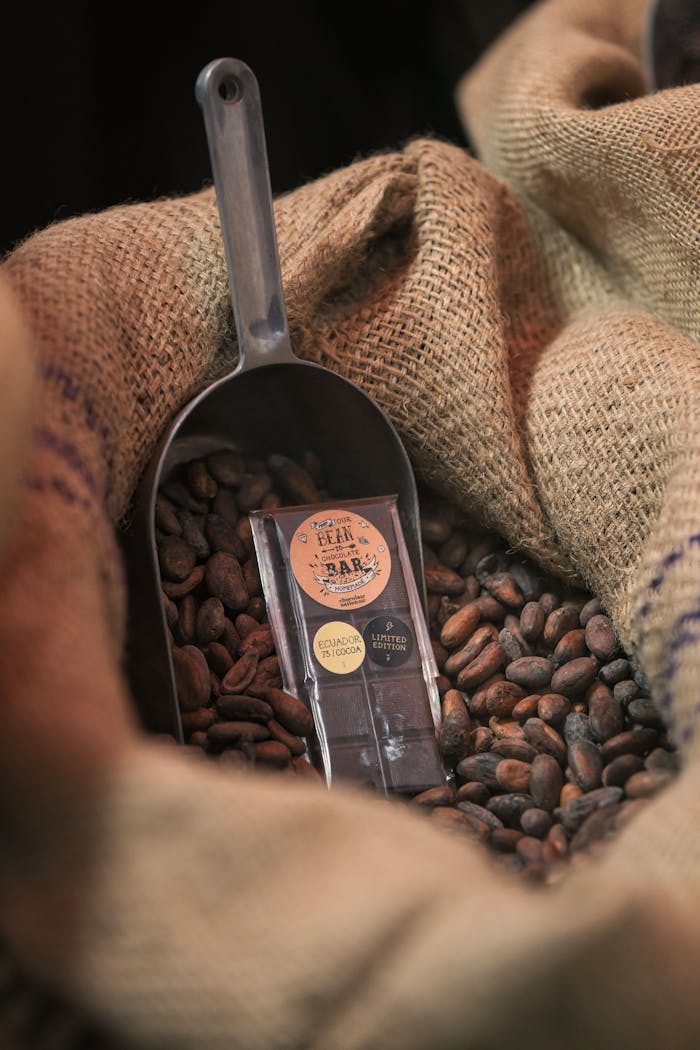 gallery-5 Chocolate bar in scoop on cocoa beans in burlap sack, showcasing premium chocolate production.